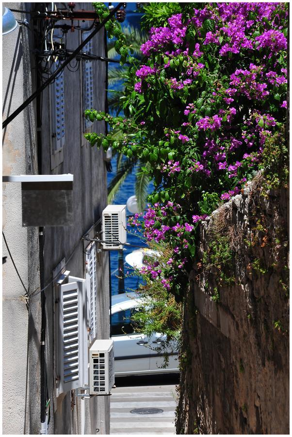 Guest House City Center Korčula Exteriér fotografie